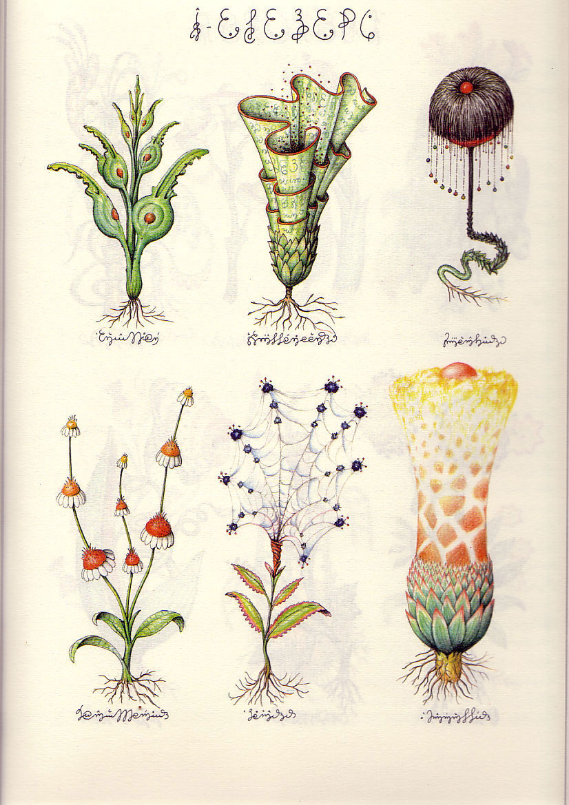 Codex-Seraphinianus-24