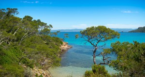 Une_ile-porquerolles-5