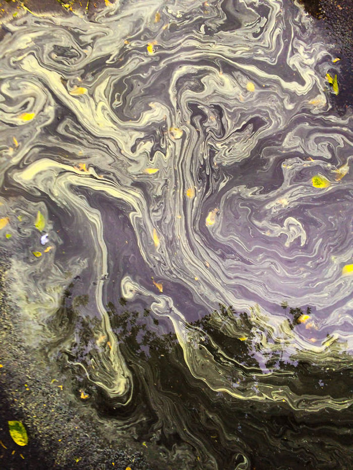 art-accidentel-beaute-13