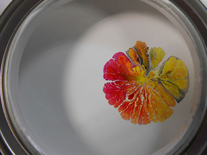 art-accidentel-beaute-9