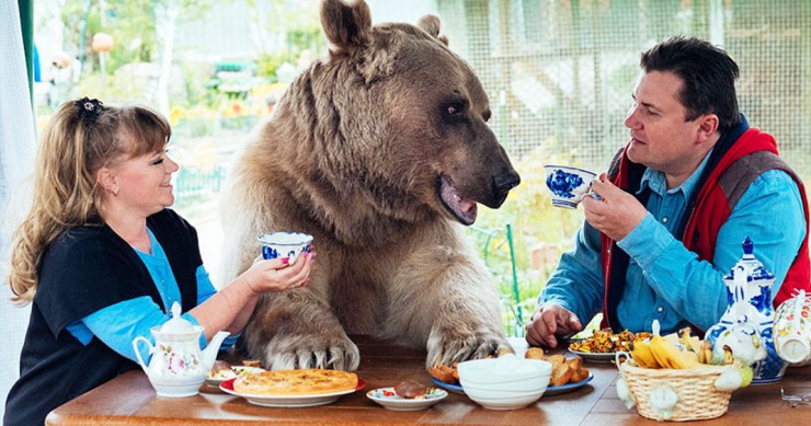 ours-adopte-famille-1