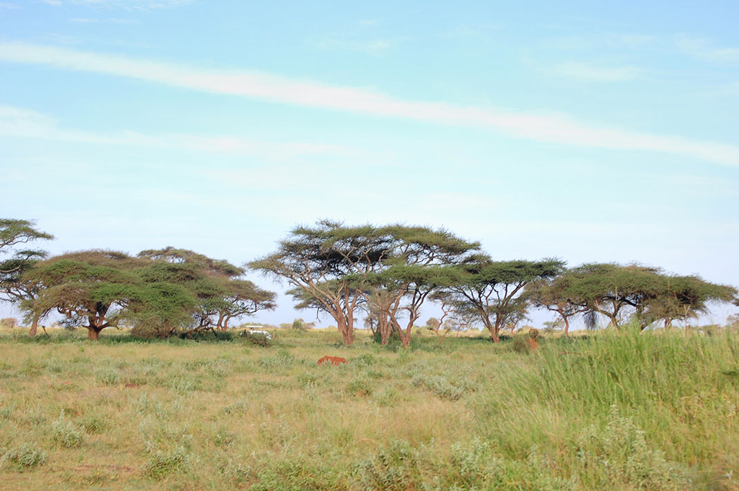 via Flickr by Arnaud Boudou