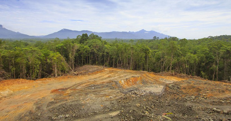 une-deforestation