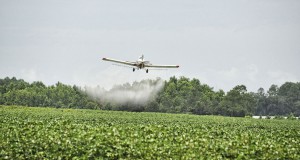 une-malte-herbicide2