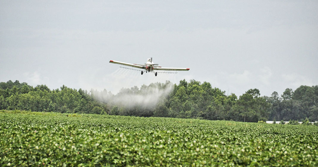 une-malte-herbicide2