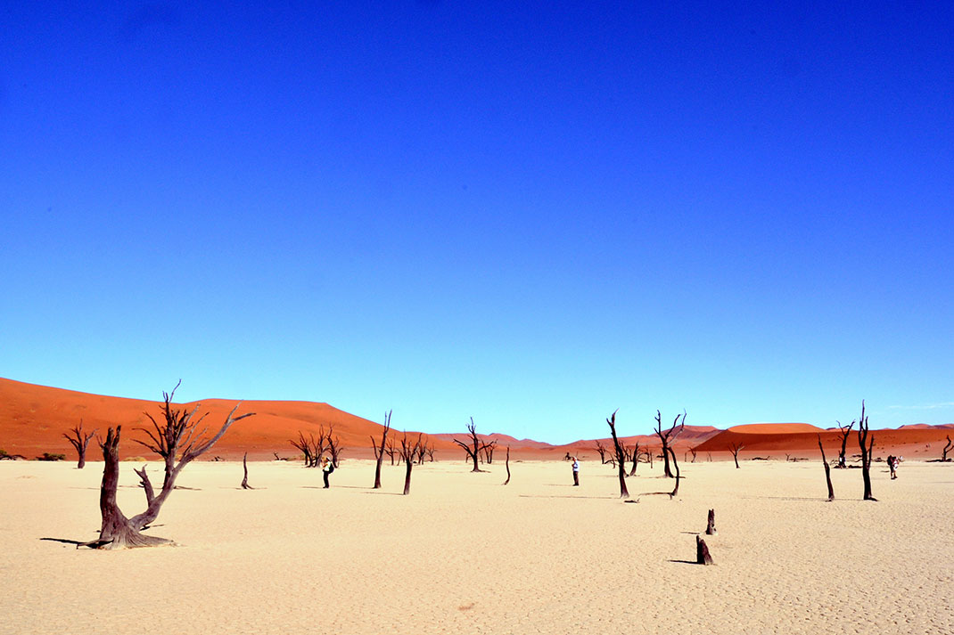 Sossusvlei-Namibie-12