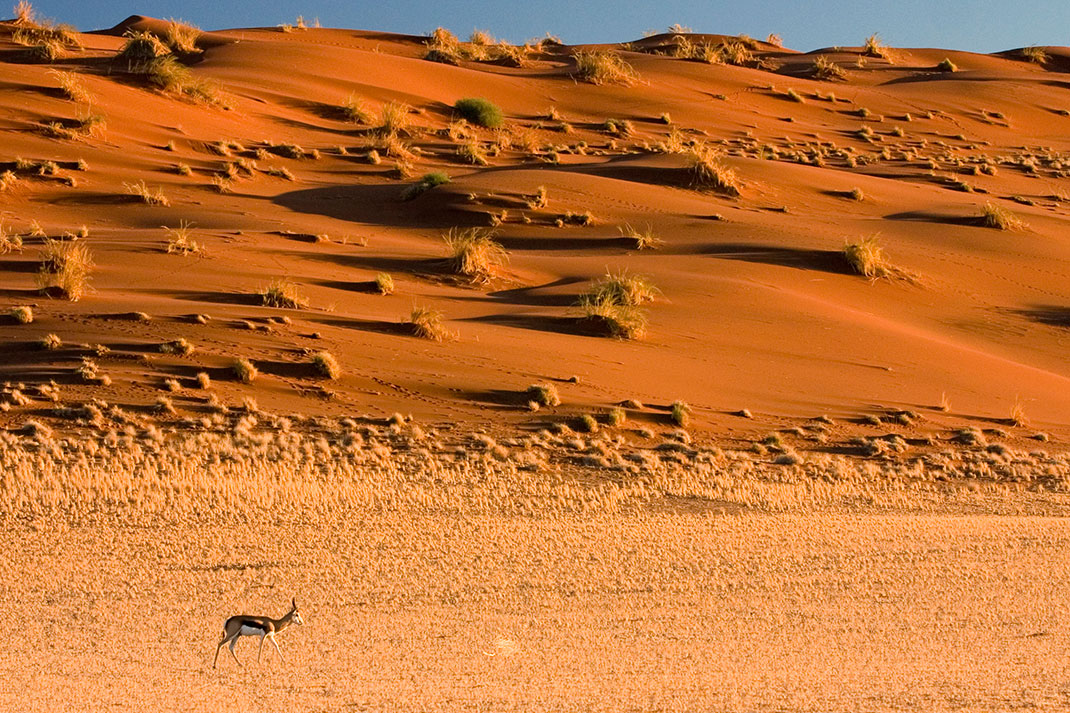 Sossusvlei-Namibie-2