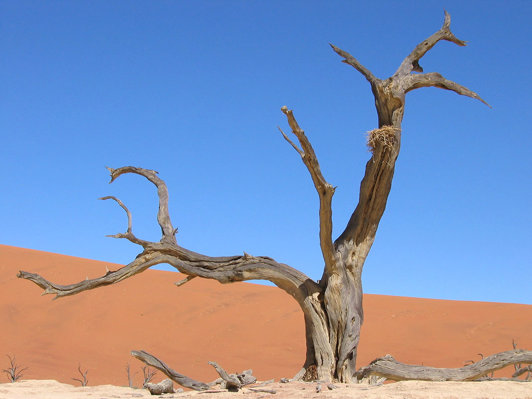 Sossusvlei-Namibie-7