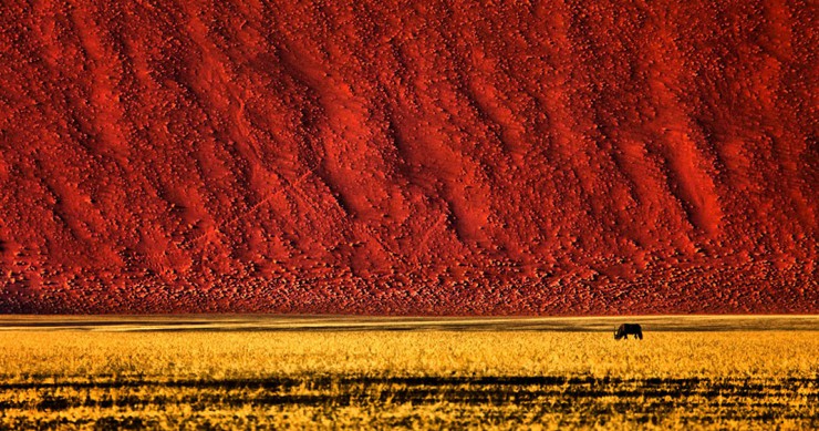 sossusvlei-namibie-desert-une
