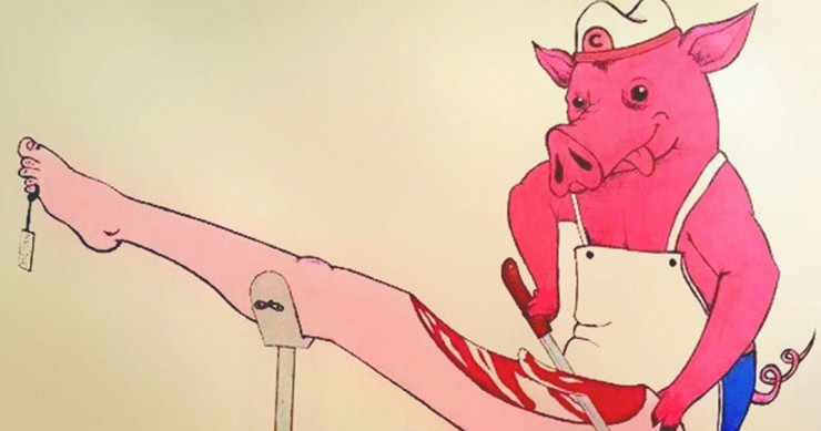 une-illustration-cochon