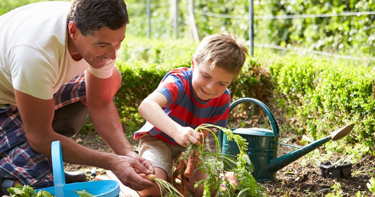 une-jardinage-insecticide-ecolo