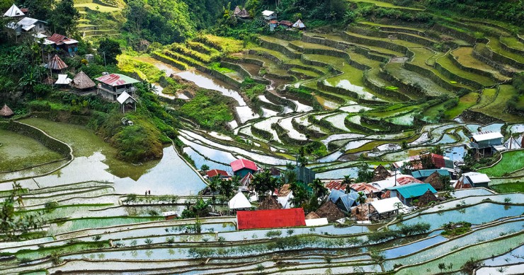une-rizieres-banaue